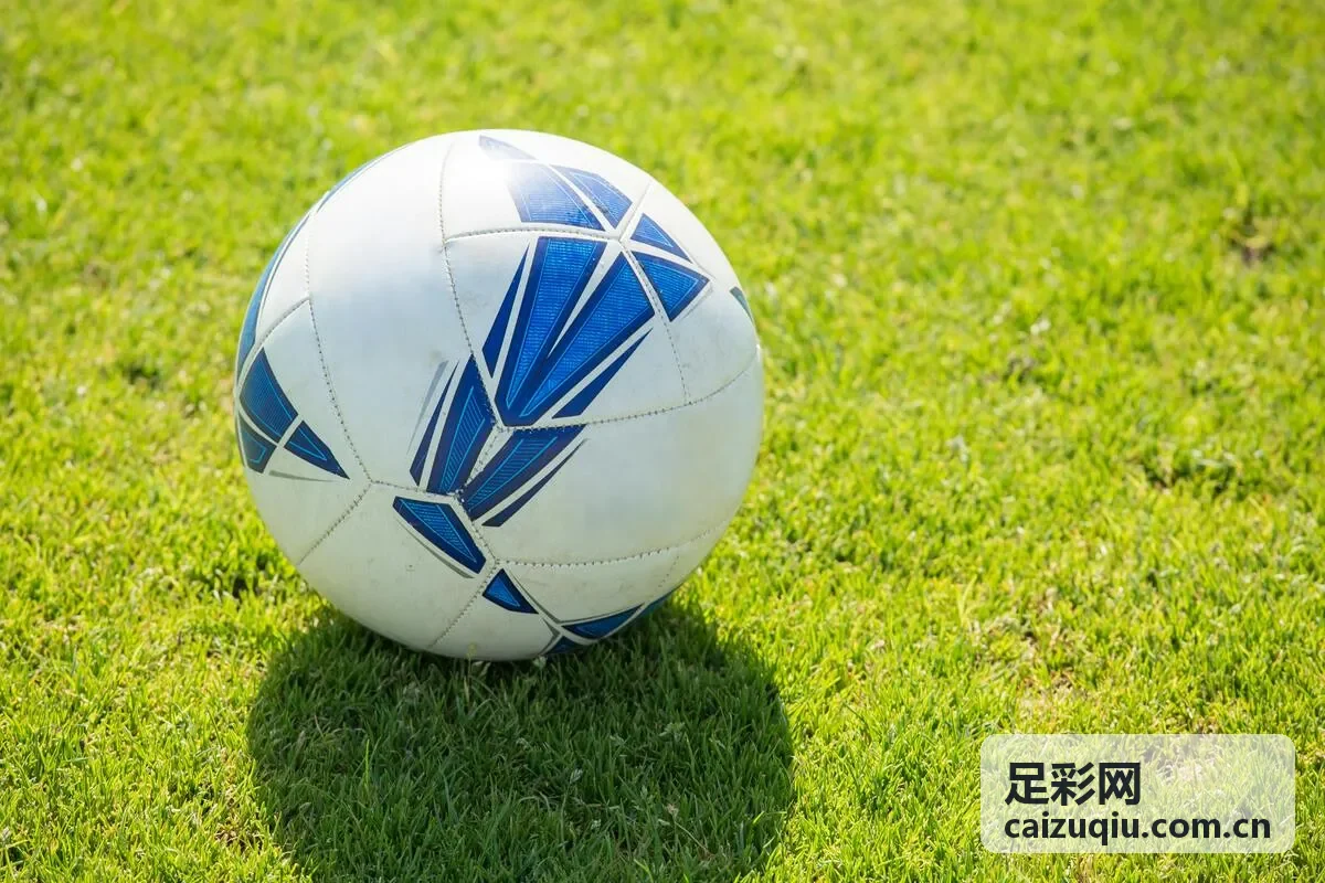 足彩网数据情报